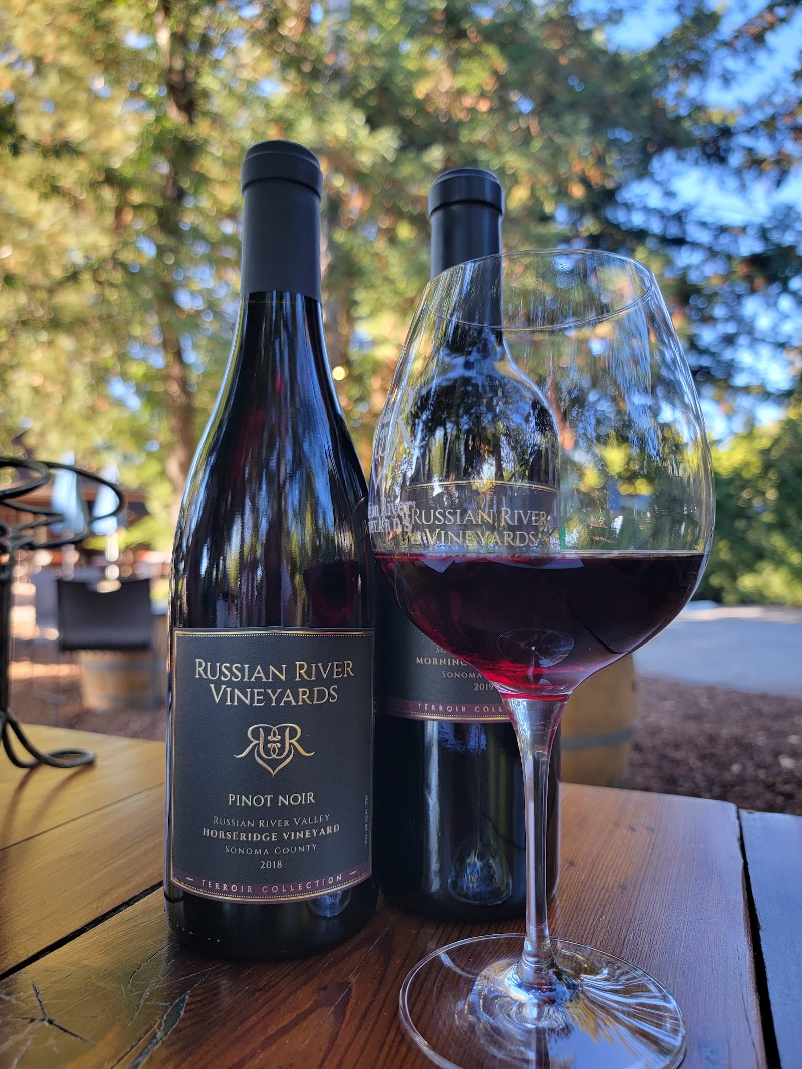 Russian River Vineyards photo 2