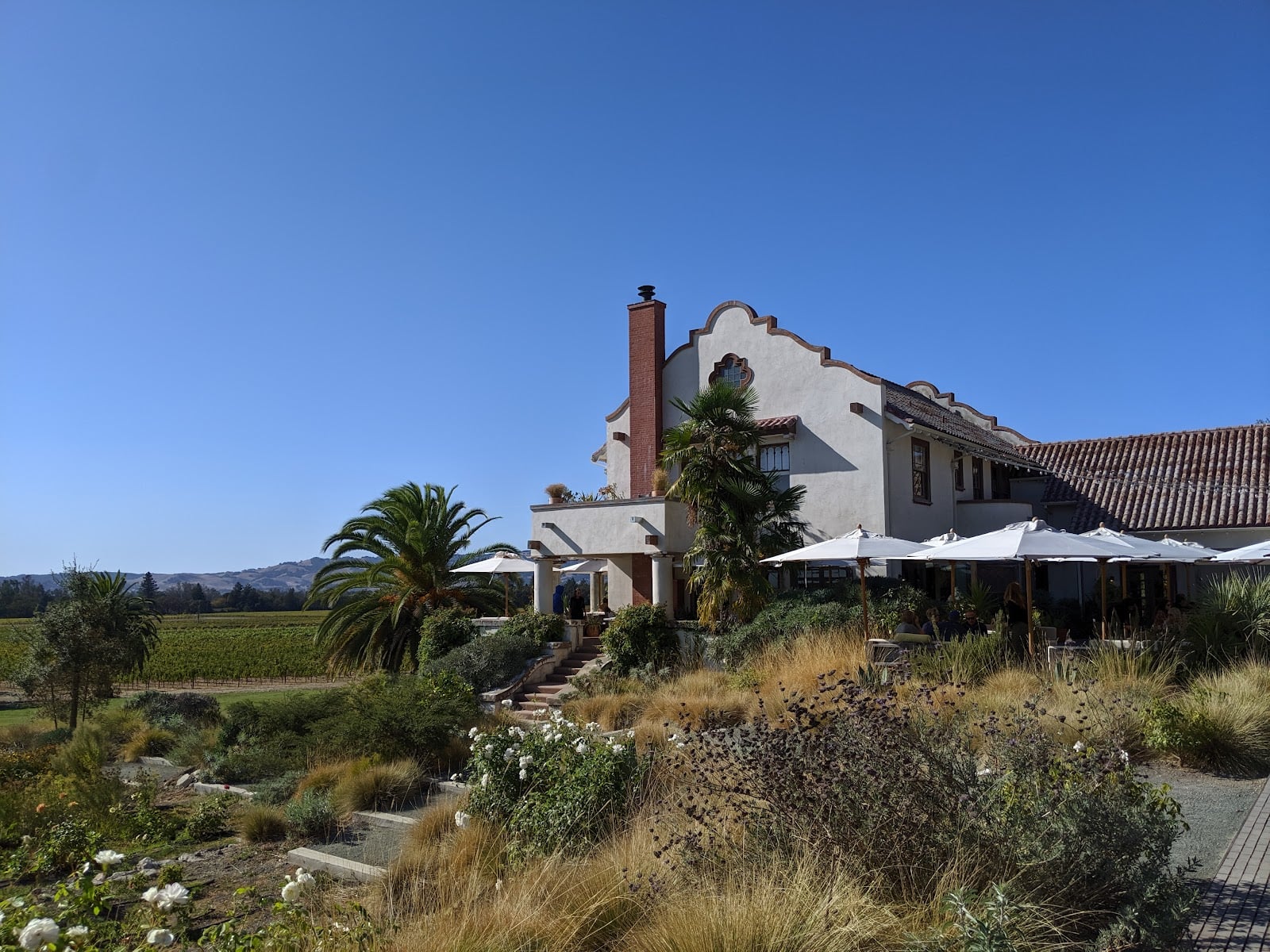 Scribe Winery photo 1