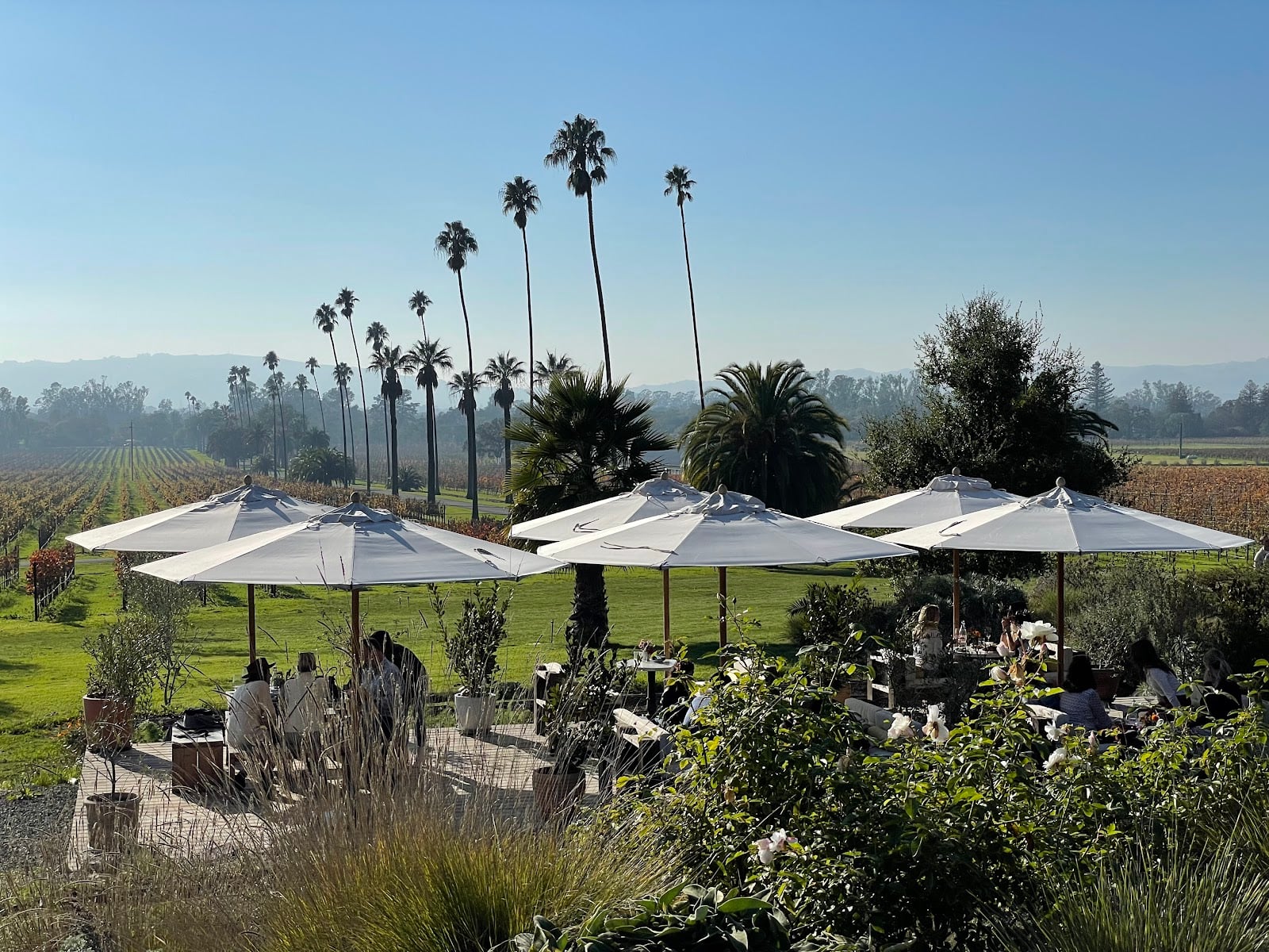 Scribe Winery photo 6