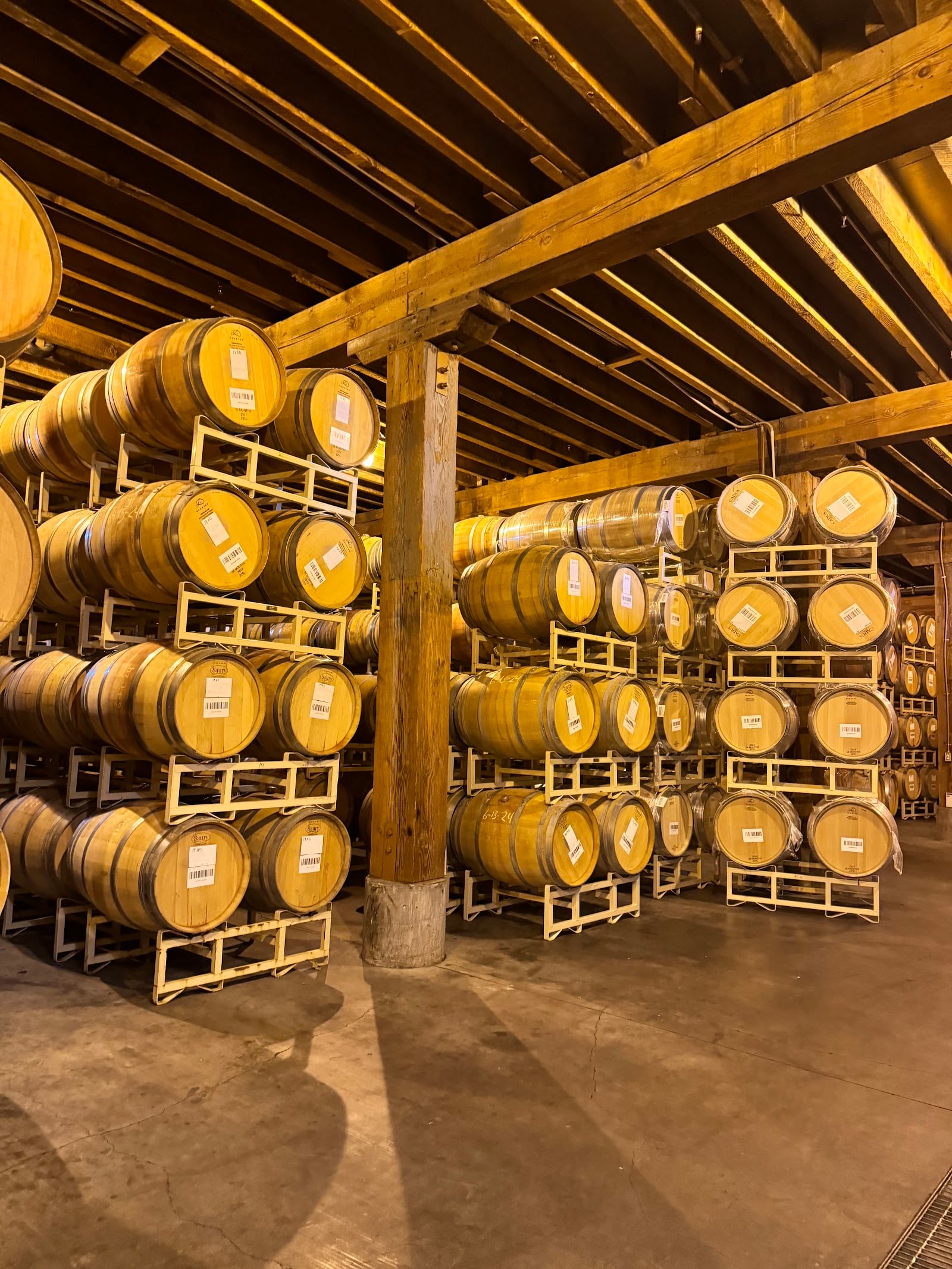 Seghesio Family Vineyards photo 2