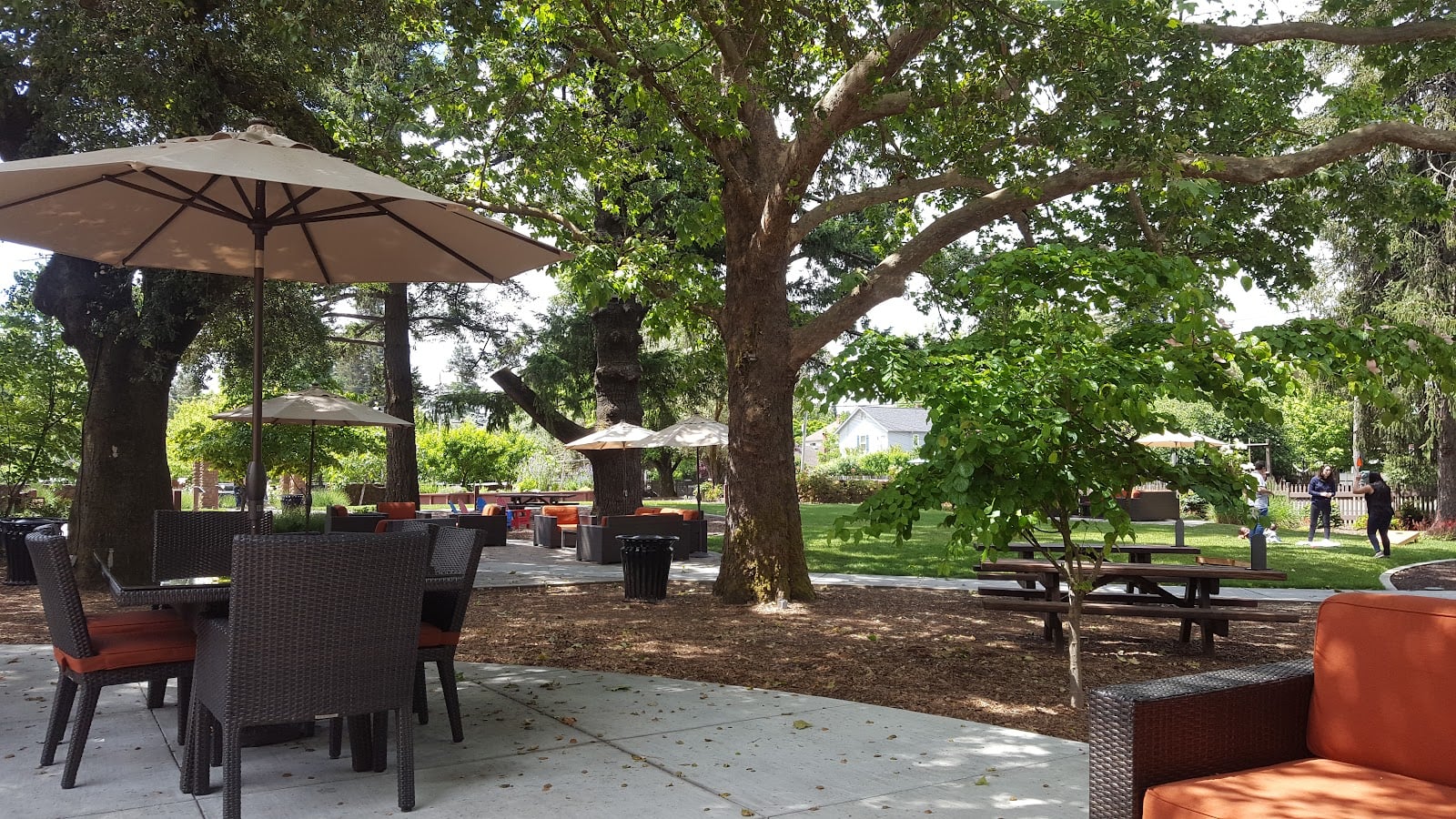 Seghesio Family Vineyards photo 5