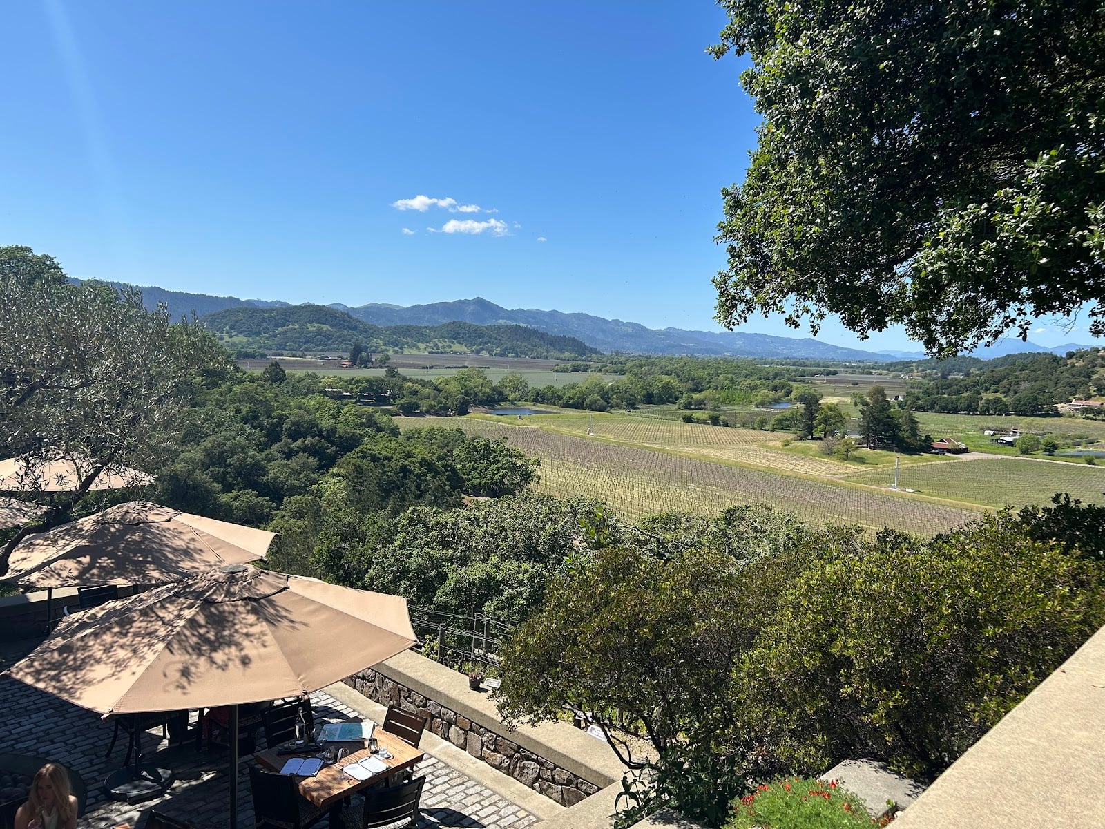 Silverado Vineyards photo 5