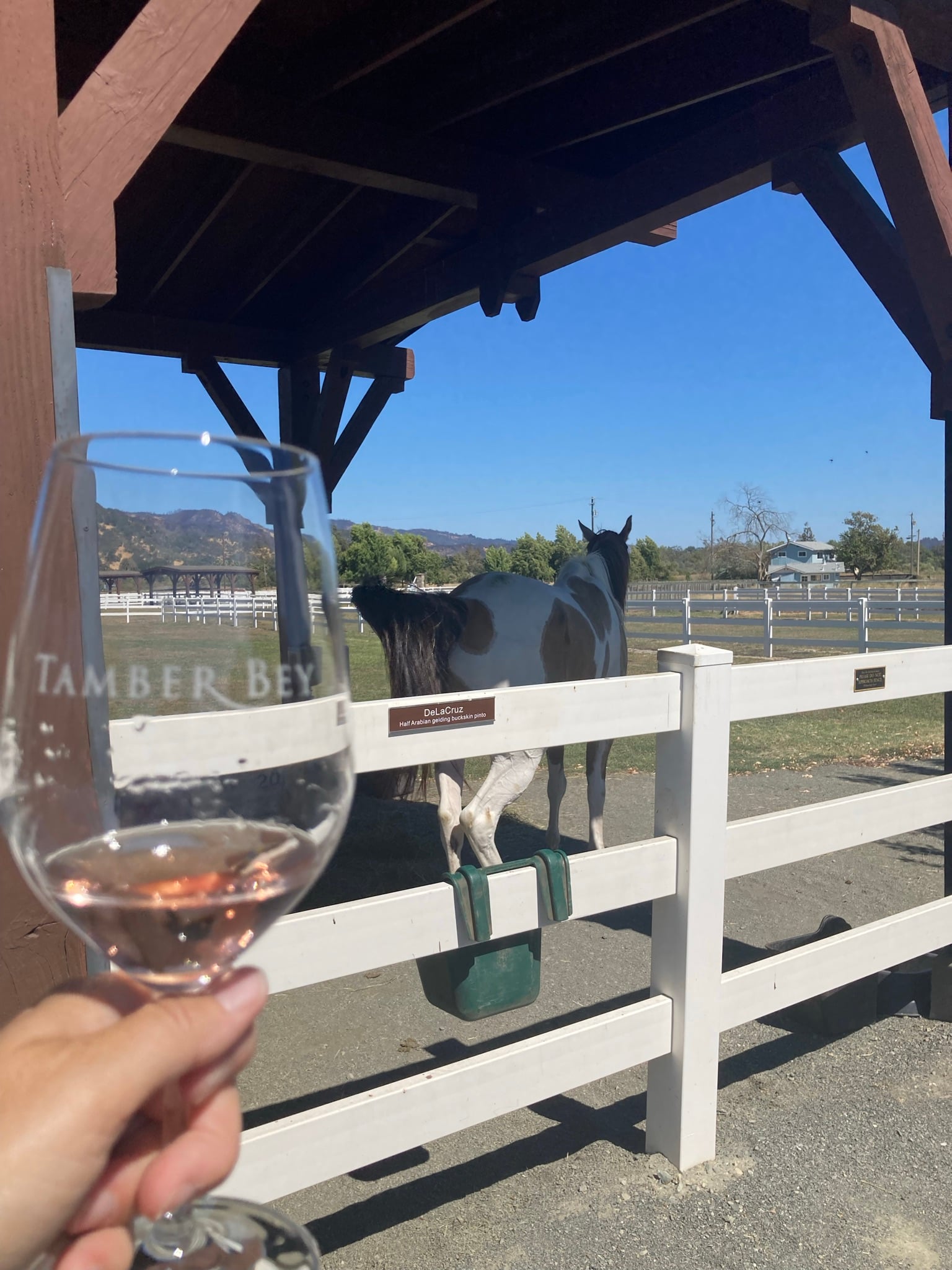 Tamber Bey Vineyards photo 6