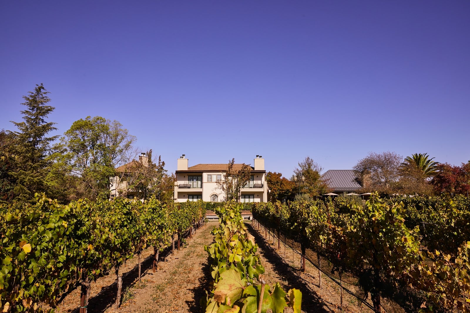 The Estate Yountville photo 8