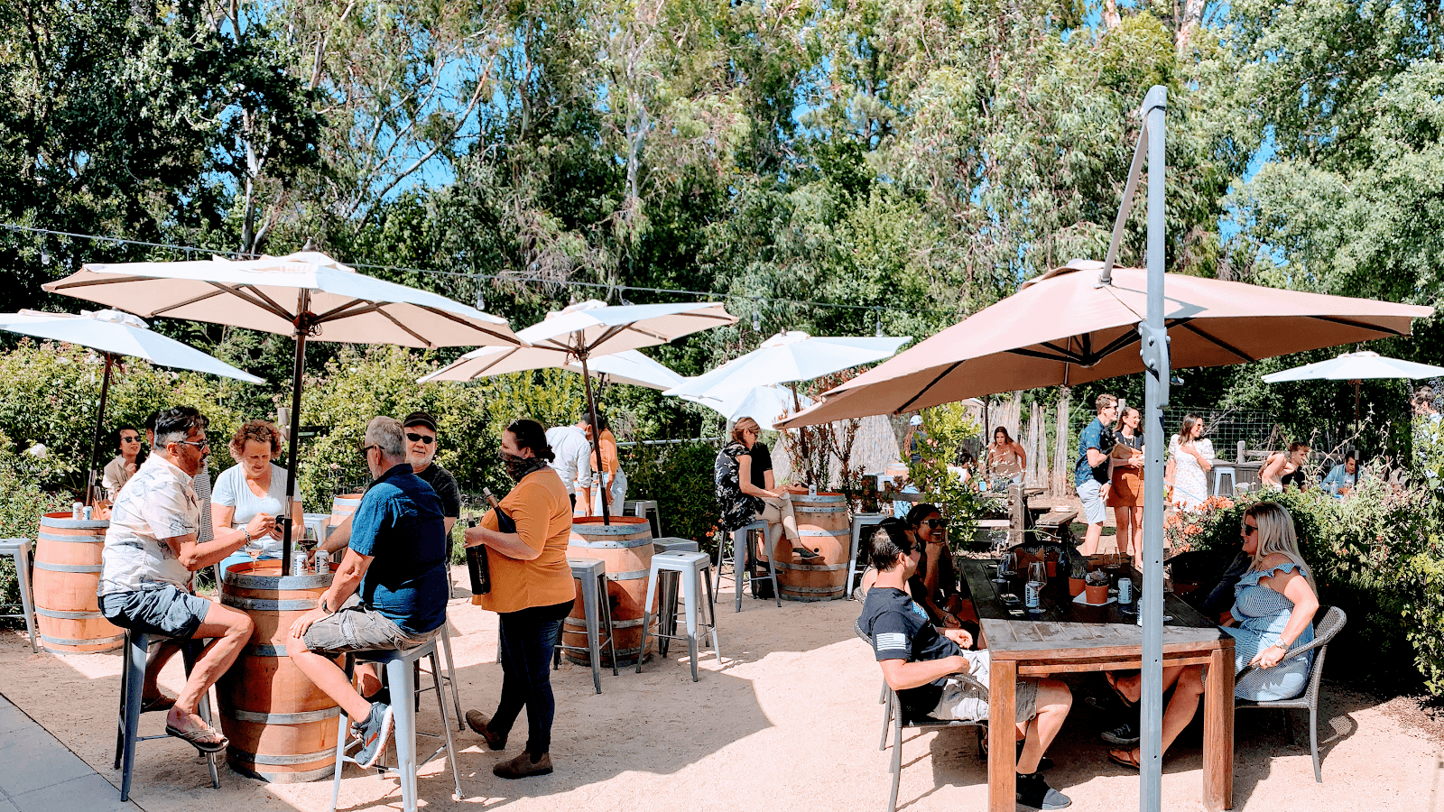 Three Fat Guys Winery photo 1