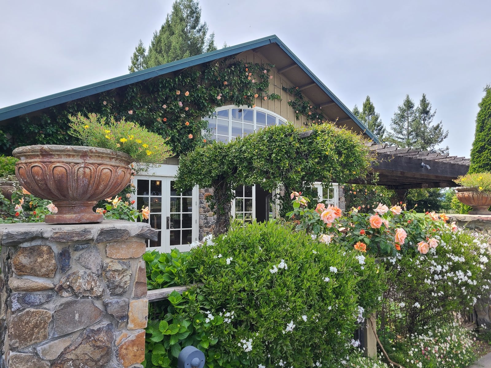 Trentadue Winery photo 6