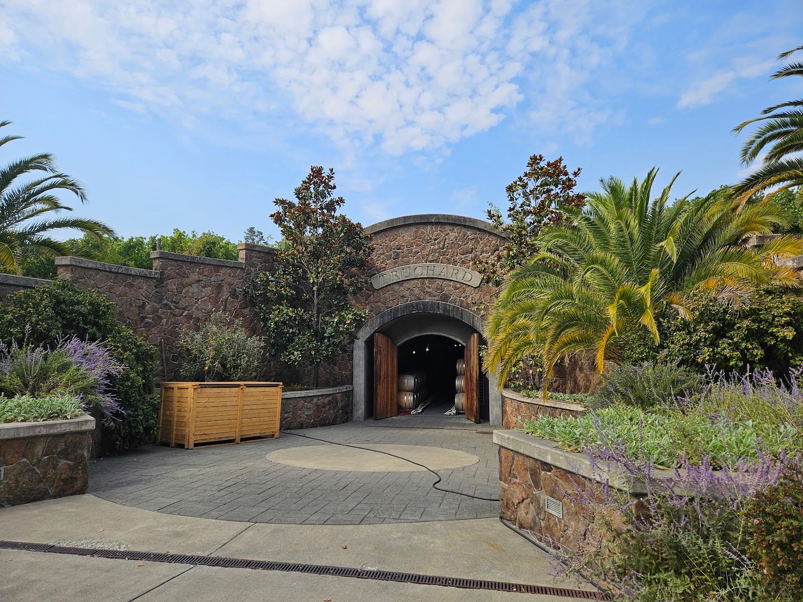 Truchard Vineyards photo 1