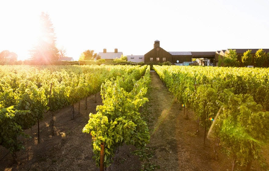 Turnbull Wine Cellars photo 1