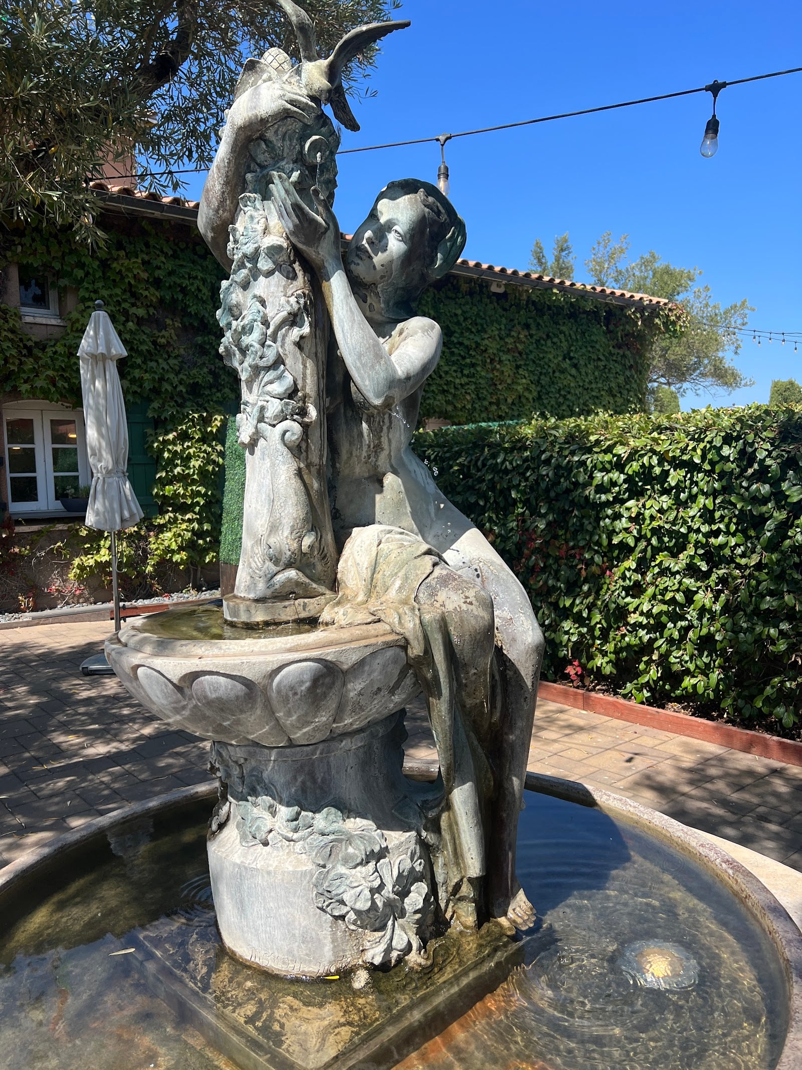 Viansa Winery photo 2