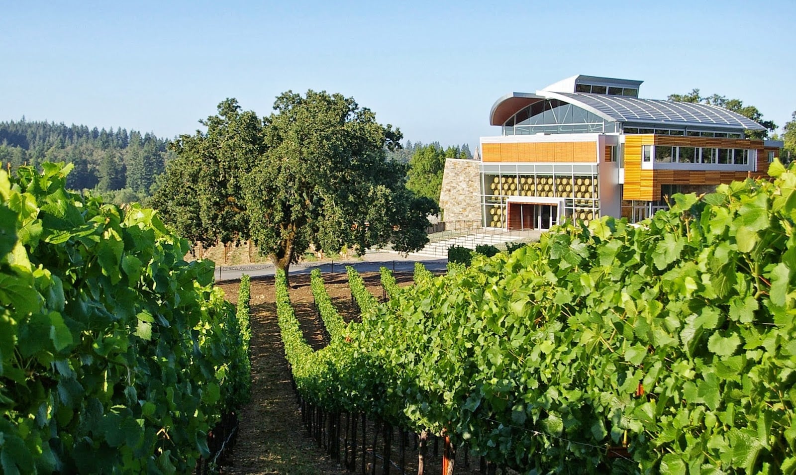 Williams Selyem photo 1