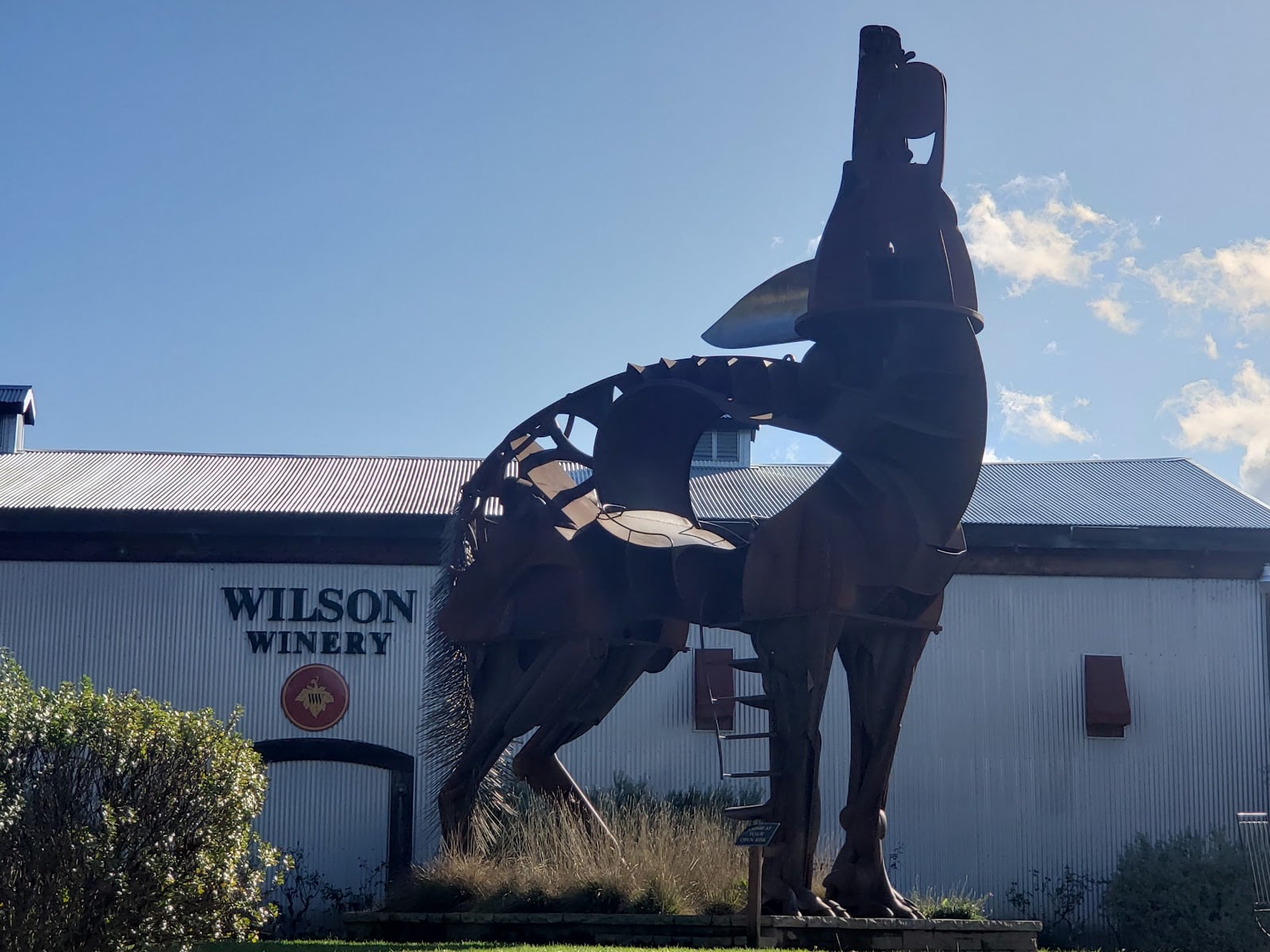 Wilson Winery photo 5