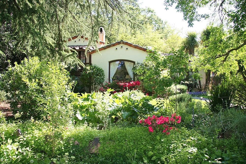 Calistoga Wayside Inn setting