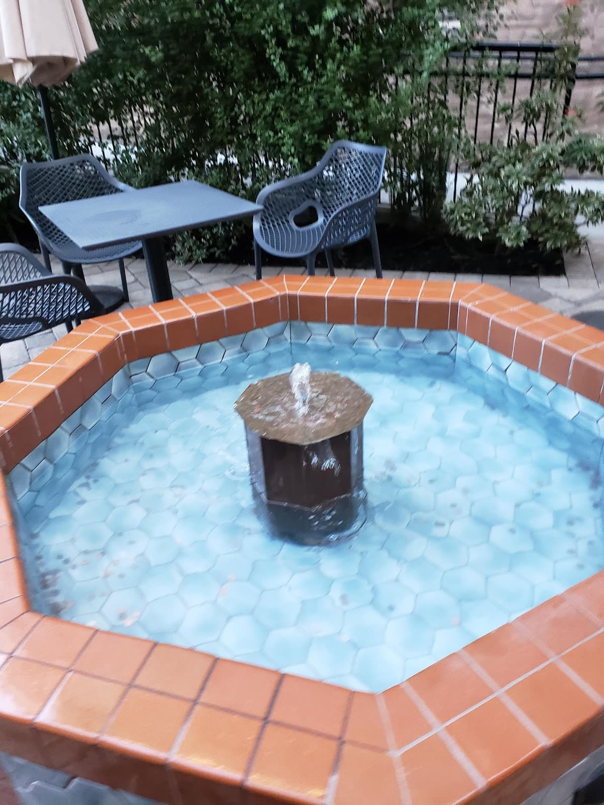 Hotel Petaluma, Tapestry Collection by Hilton setting