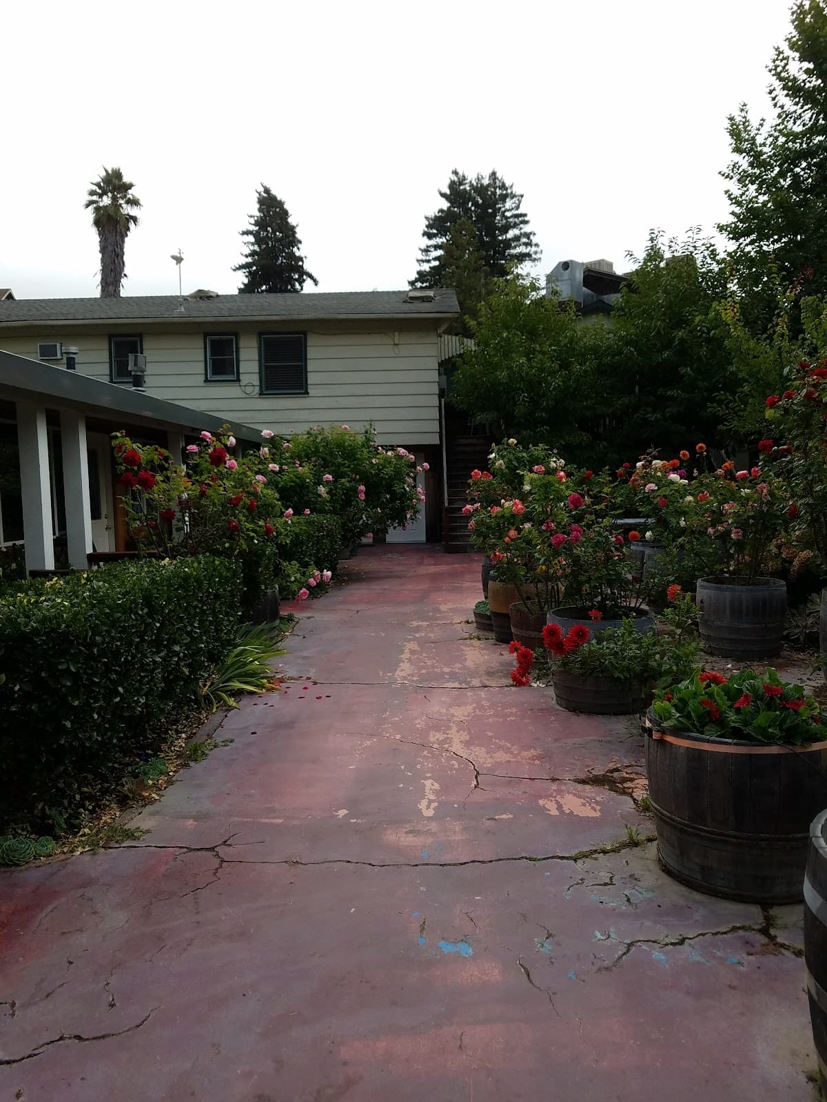 The Woods Cottages & Cabins @ Russian River setting