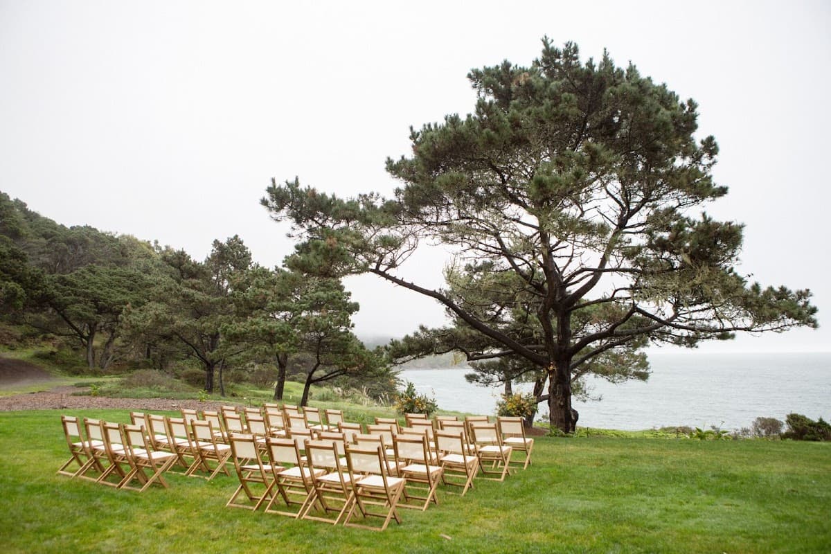 Timber Cove Resort setting