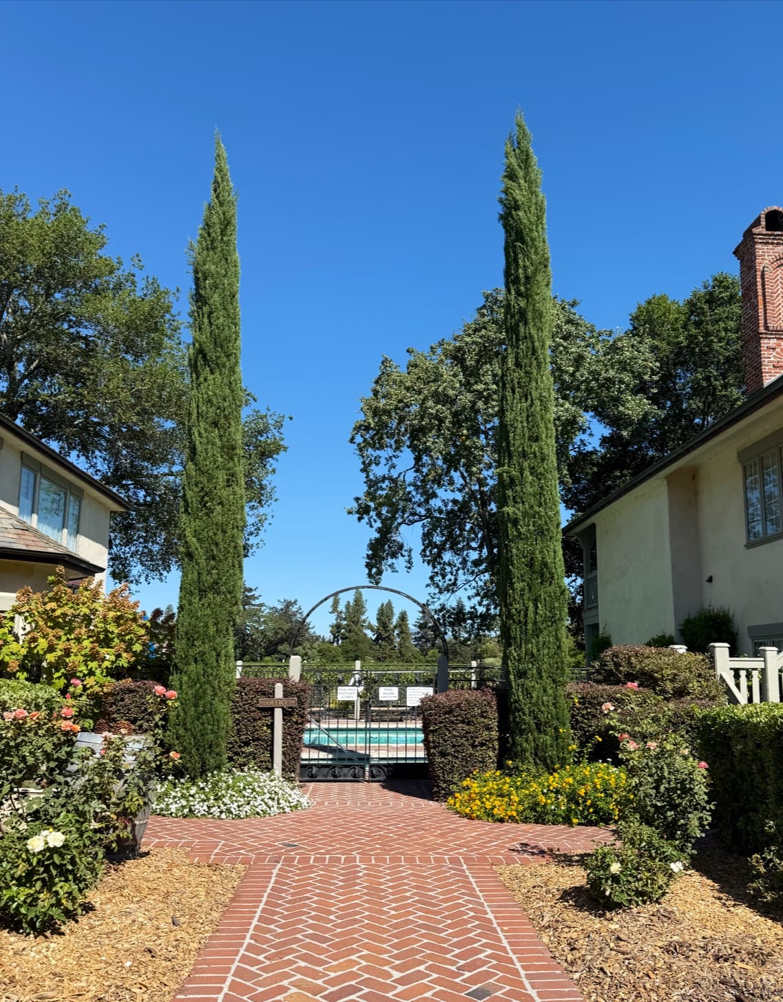 Vineyard Country Inn setting