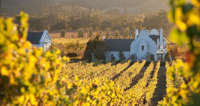 Chimney Rock Winery's distinctive Cape Dutch architecture