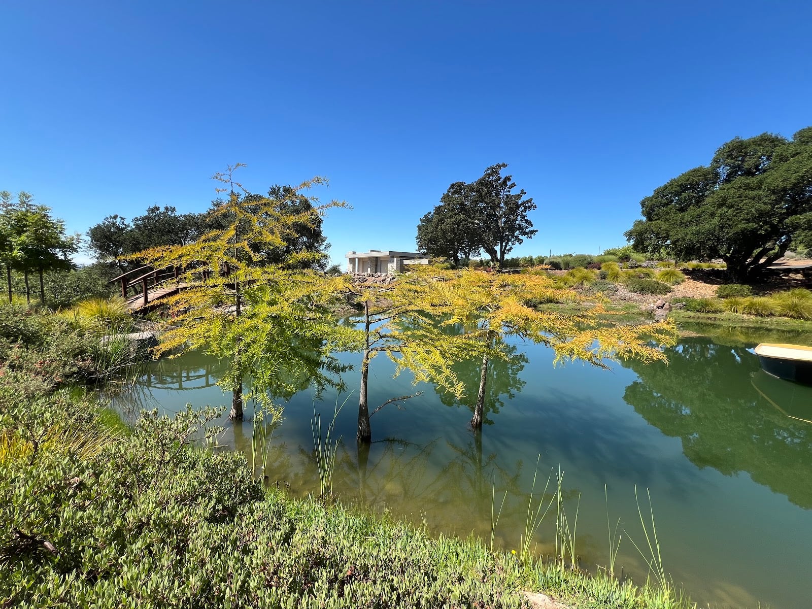 Coursey Graves Estate Winery photo 5