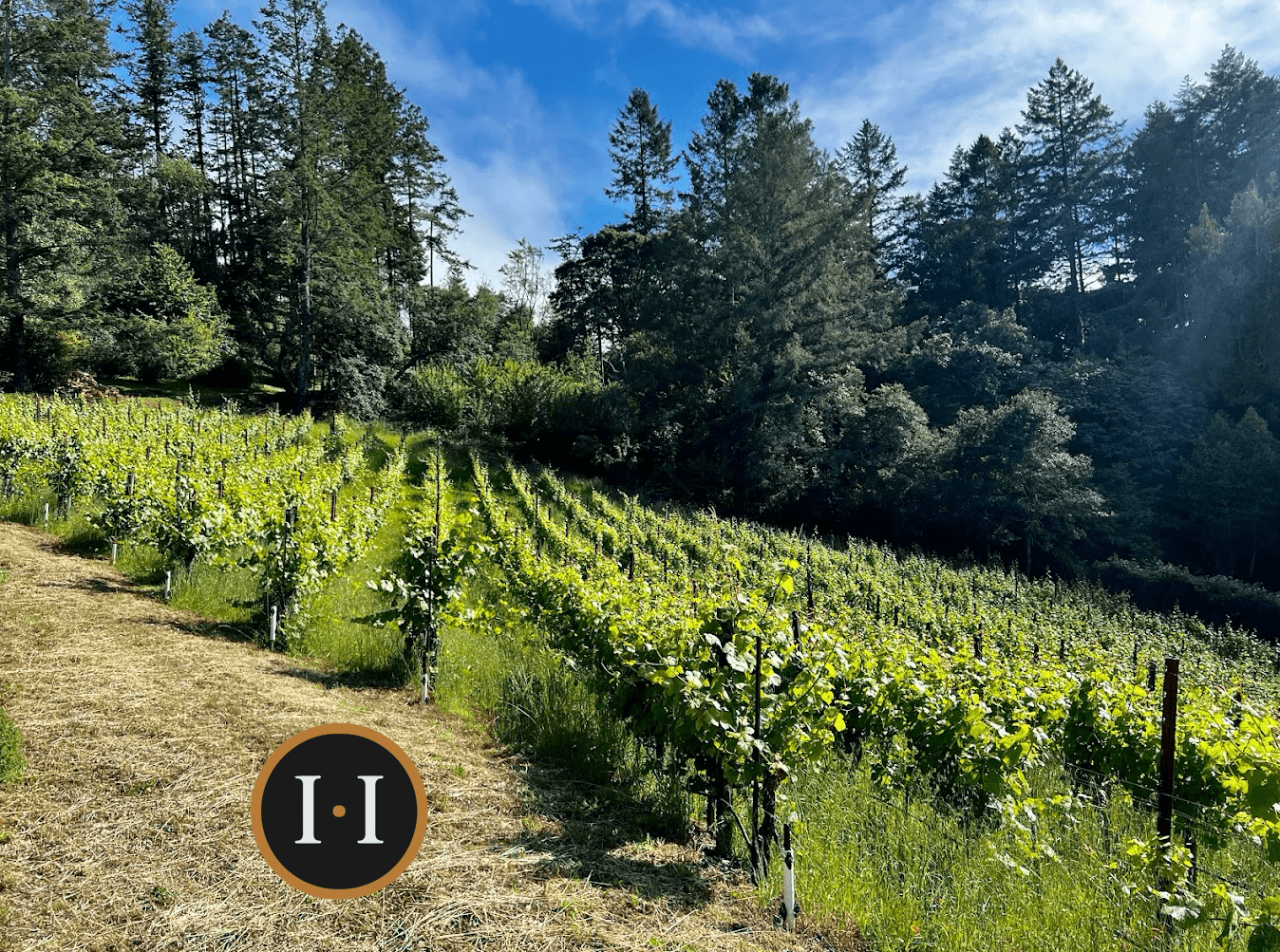 Photo of Halleck Vineyard Estate Winery & Wine Tasting Room