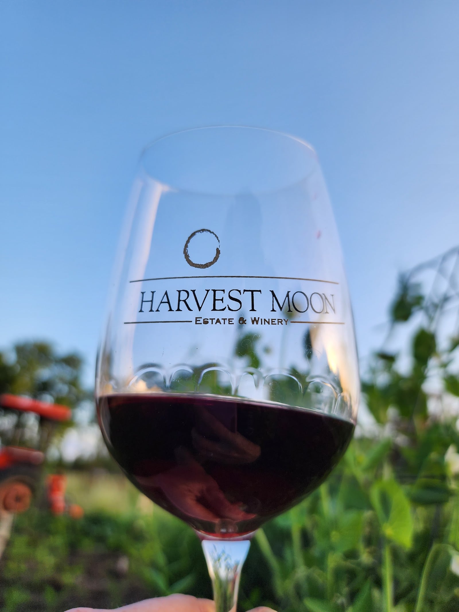 Harvest Moon Estate & Winery photo 7