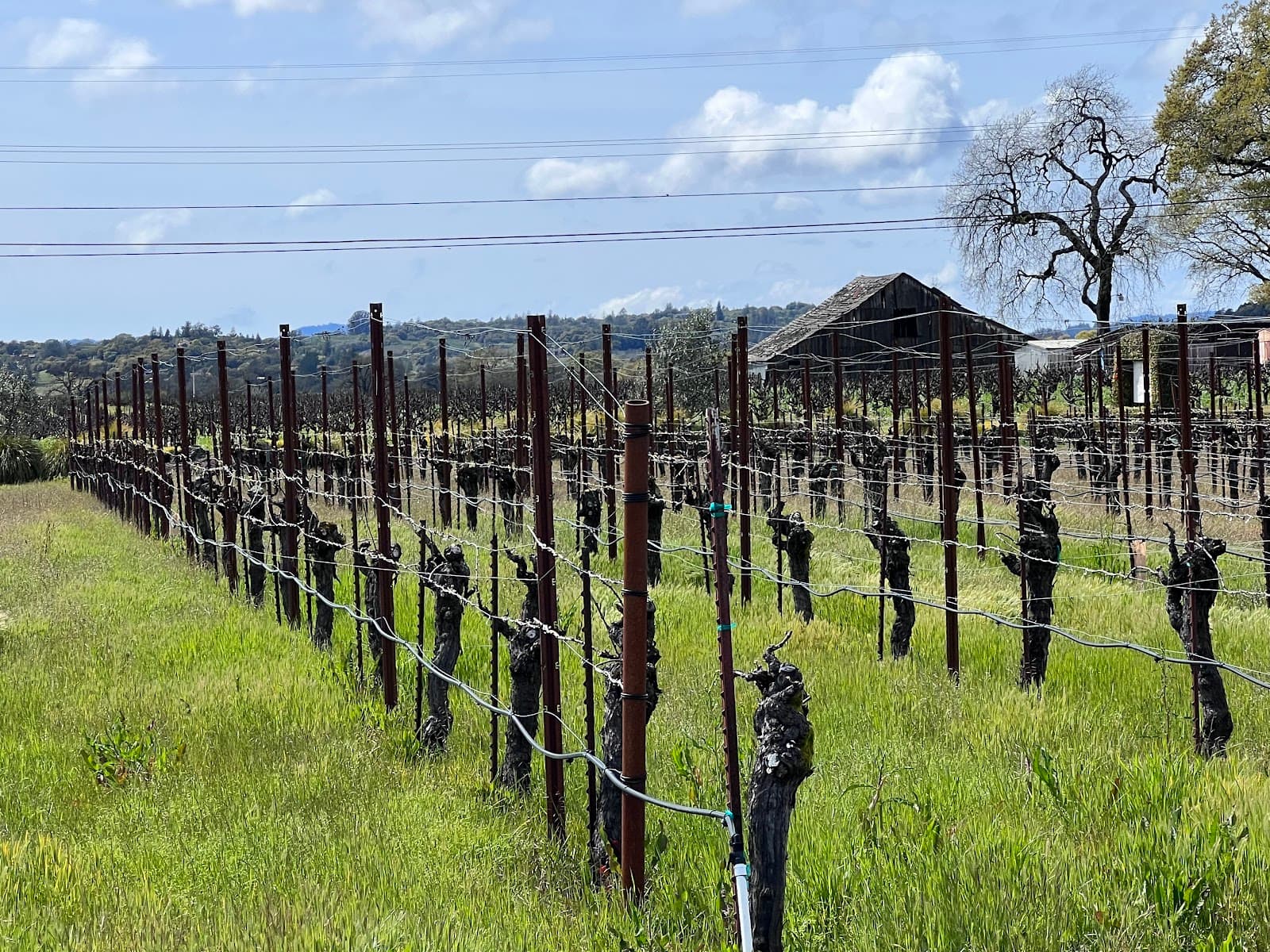 Photo of Harvest Moon Estate & Winery