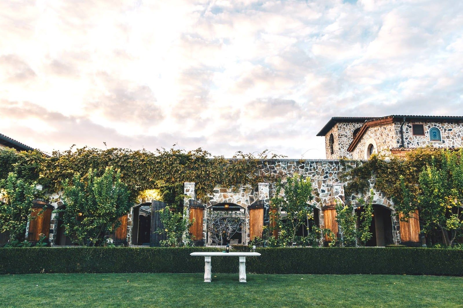 Jacuzzi Family Vineyards photo 1