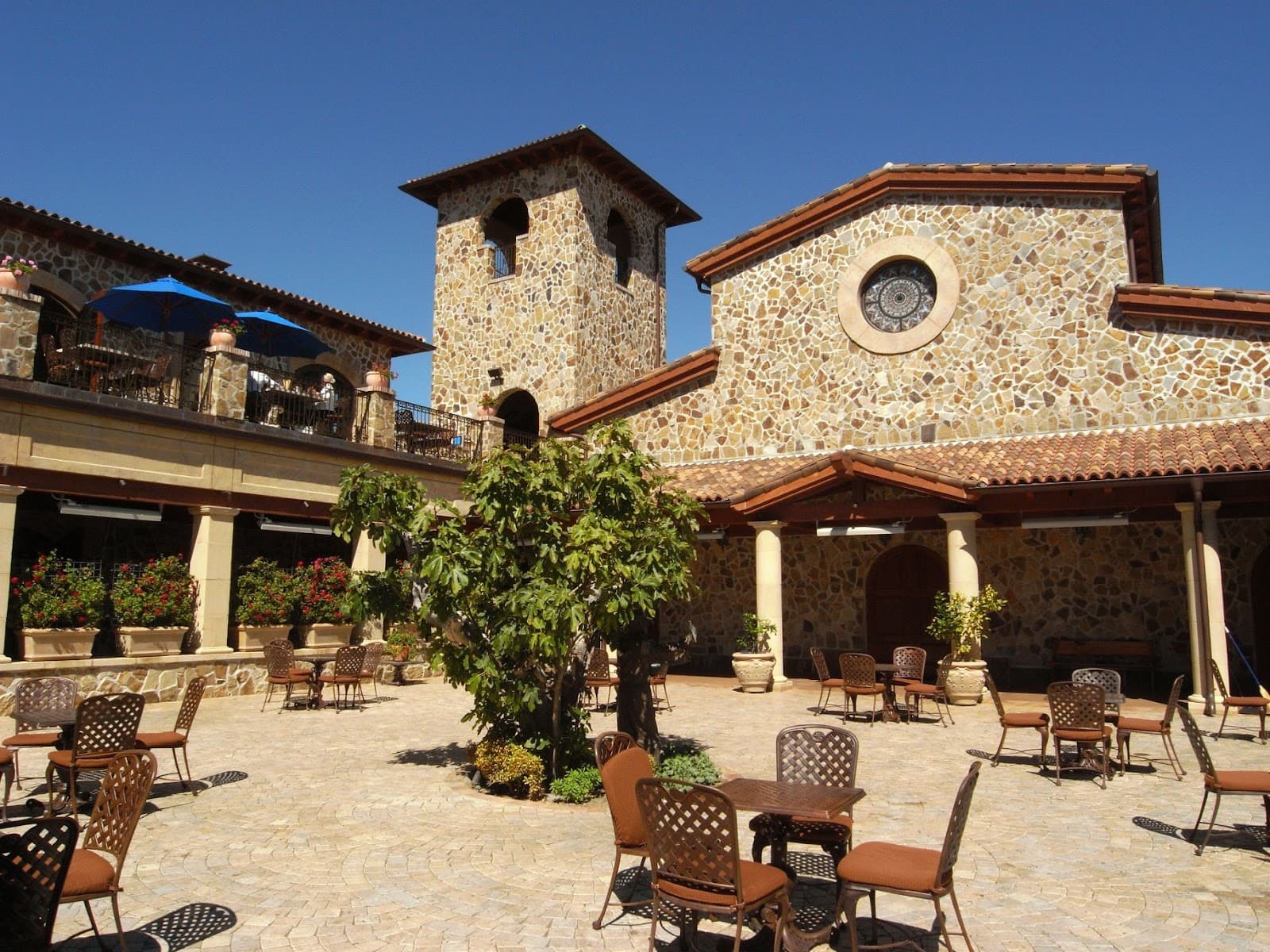 Photo of Jacuzzi Family Vineyards