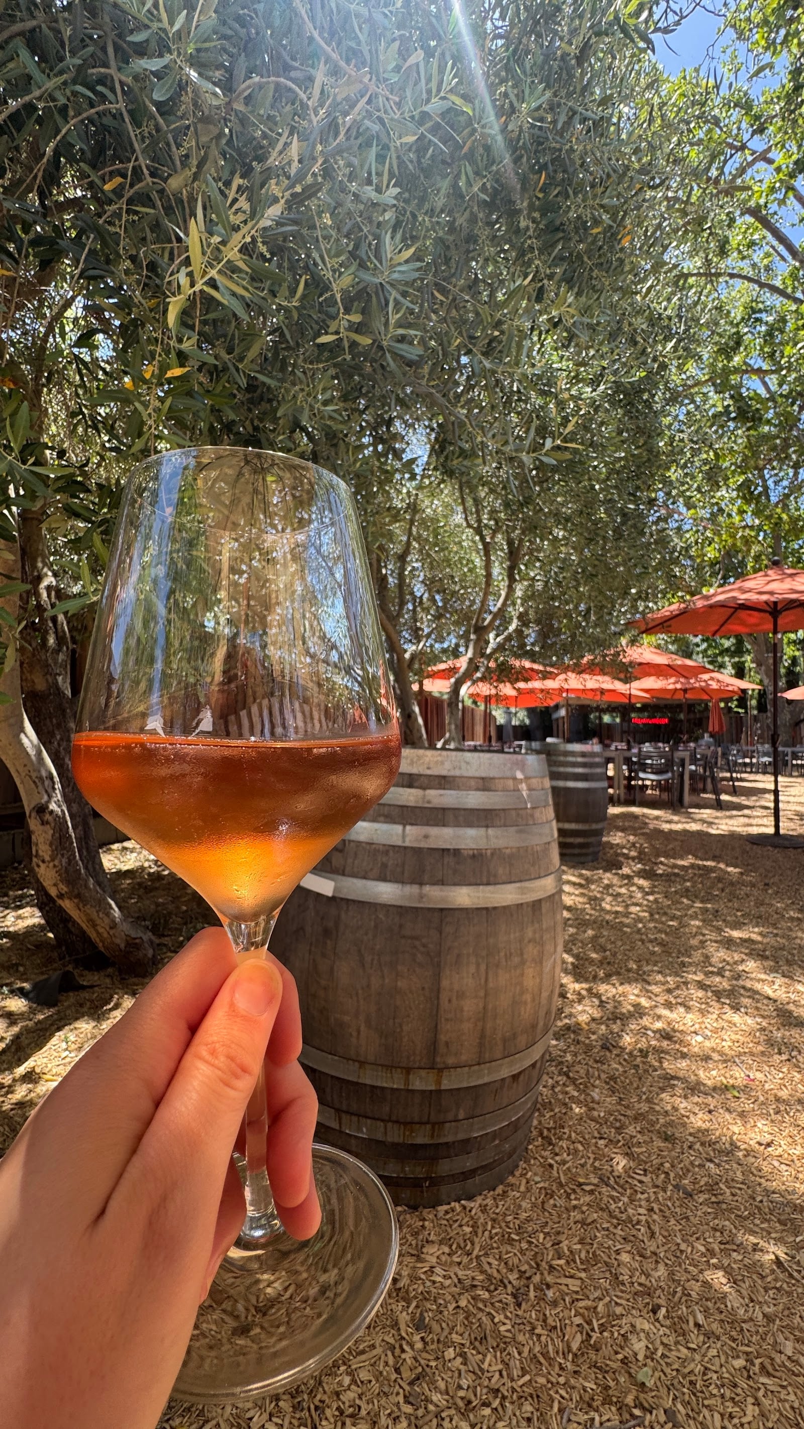 Kivelstadt Cellars & WineGarden photo 2