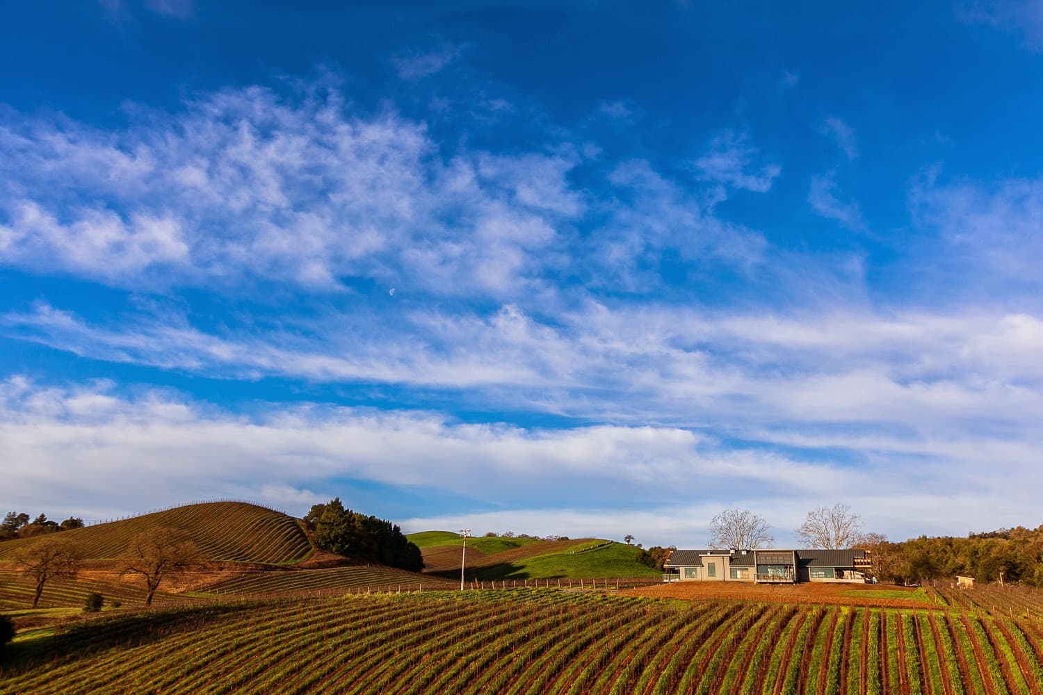 MacRostie Winery Estate House
