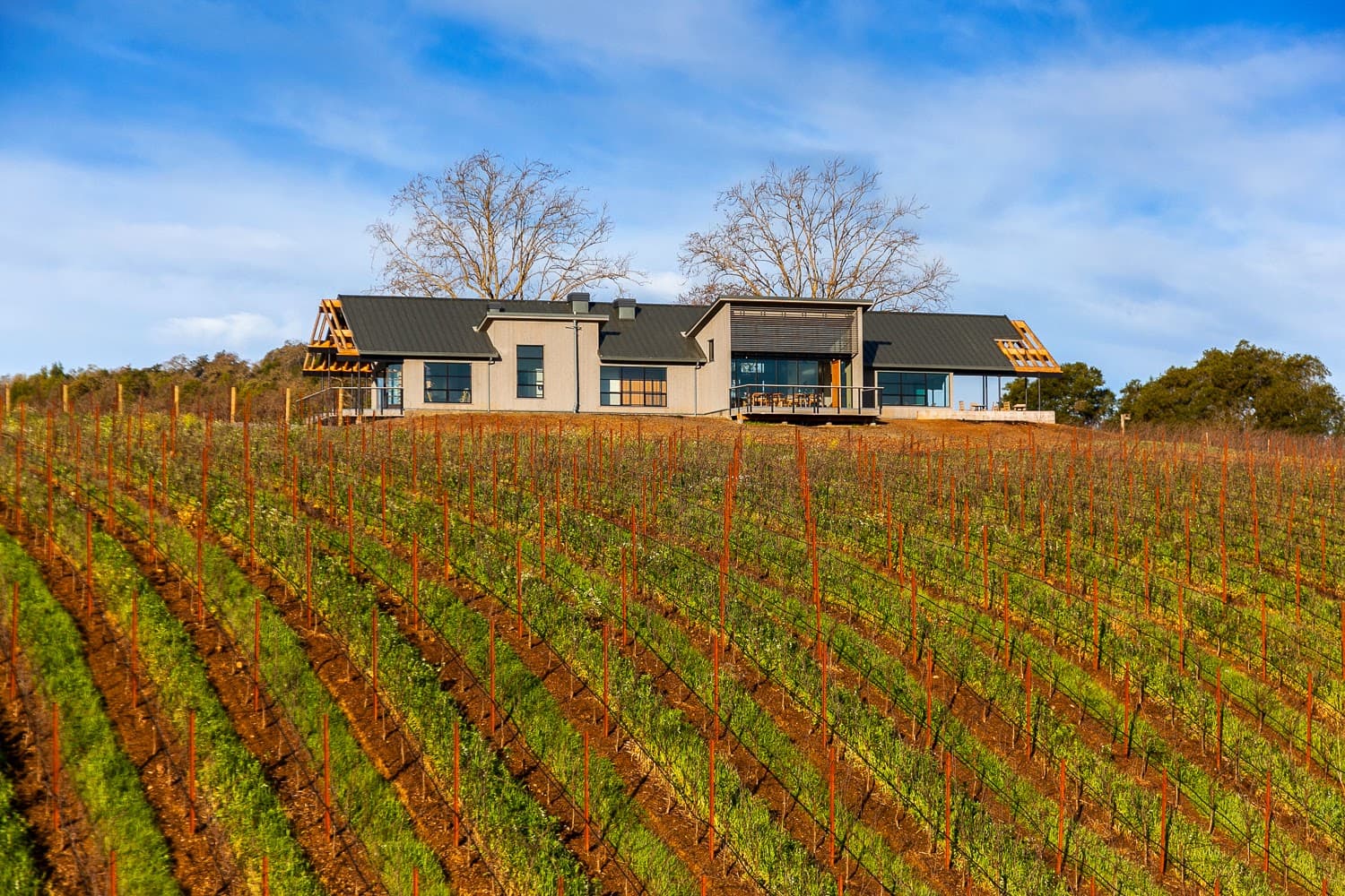 Photo of MacRostie Winery Estate House