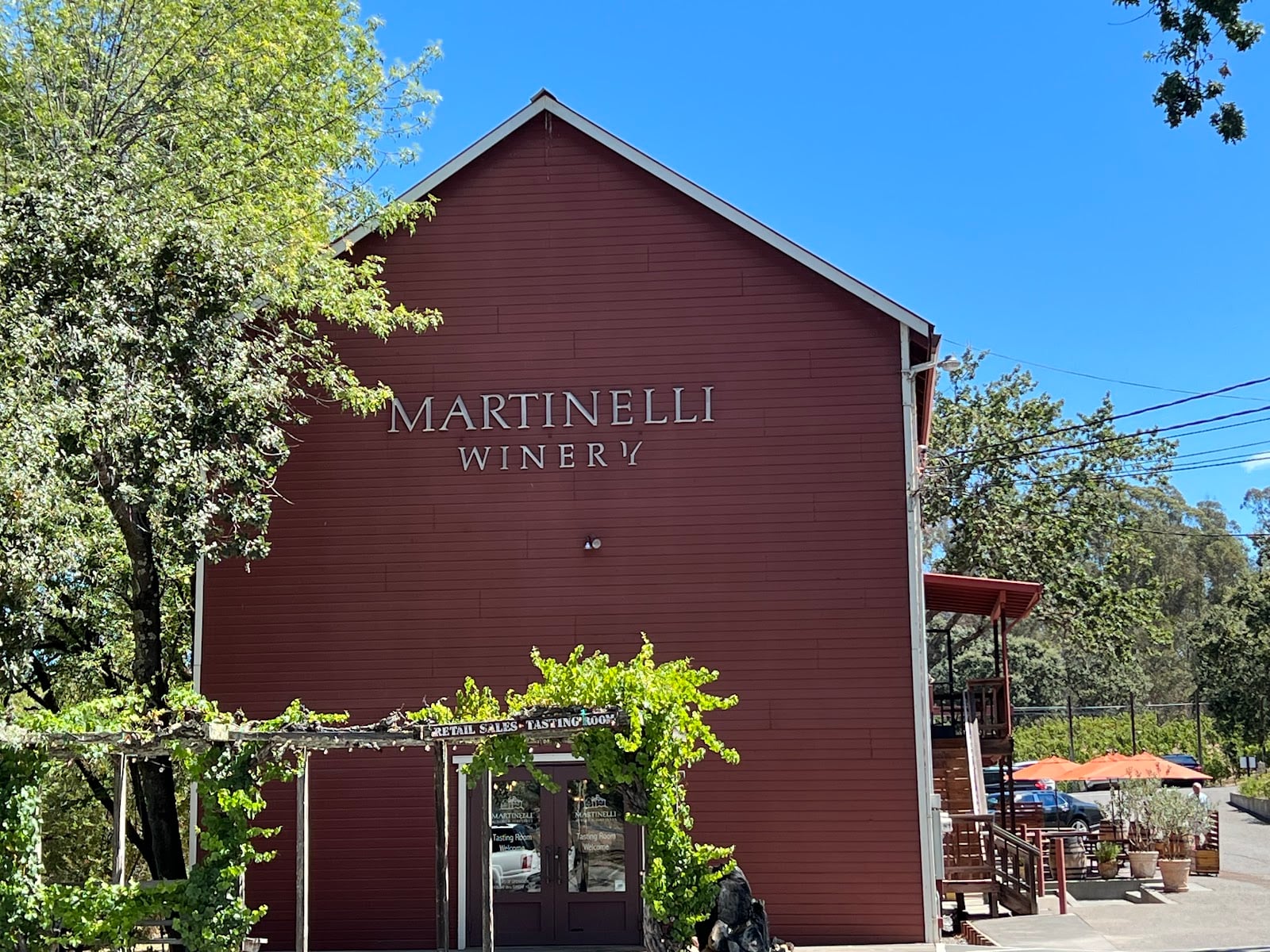 Martinelli Vineyards & Winery photo 1