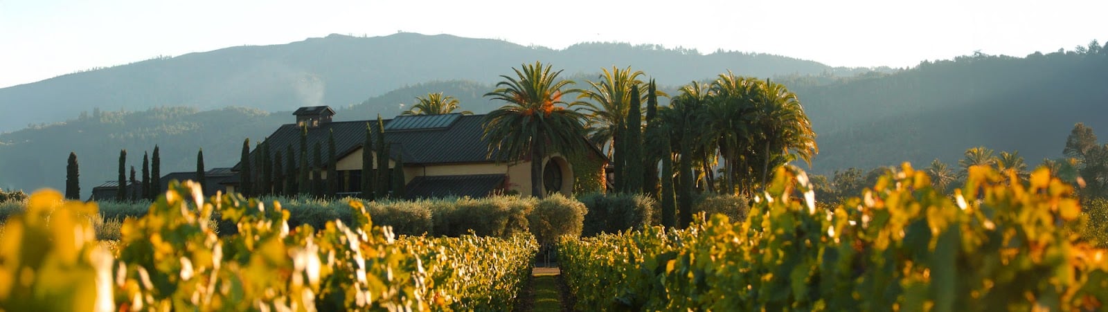 Round Pond Estate Winery photo 1