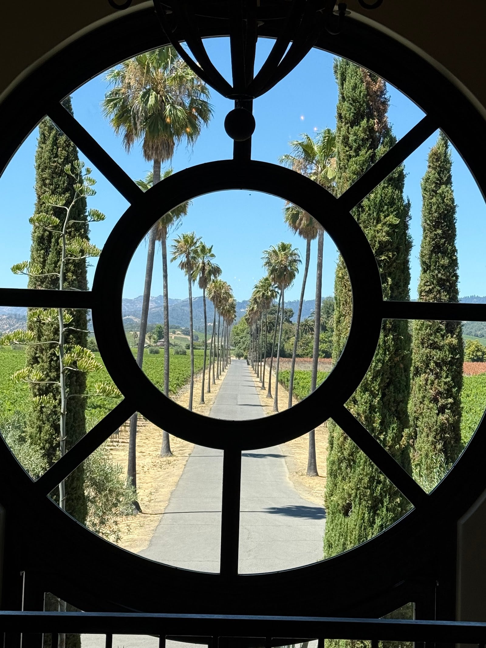 Round Pond Estate Winery photo 2