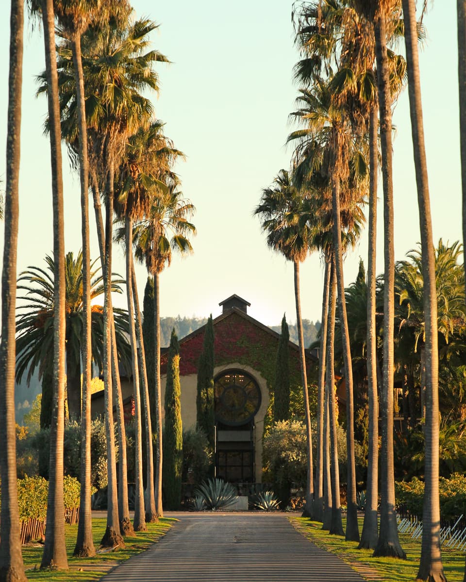 Photo of Round Pond Estate Winery