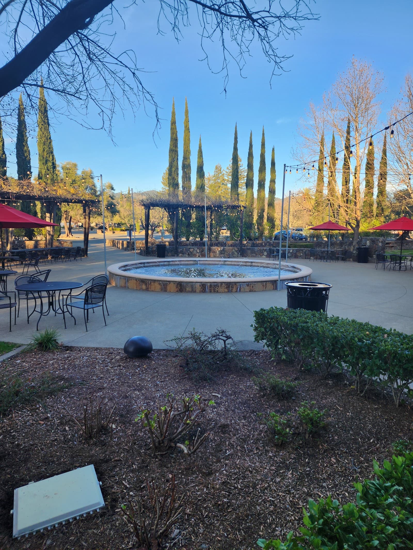 Photo of Sebastiani Vineyards & Winery