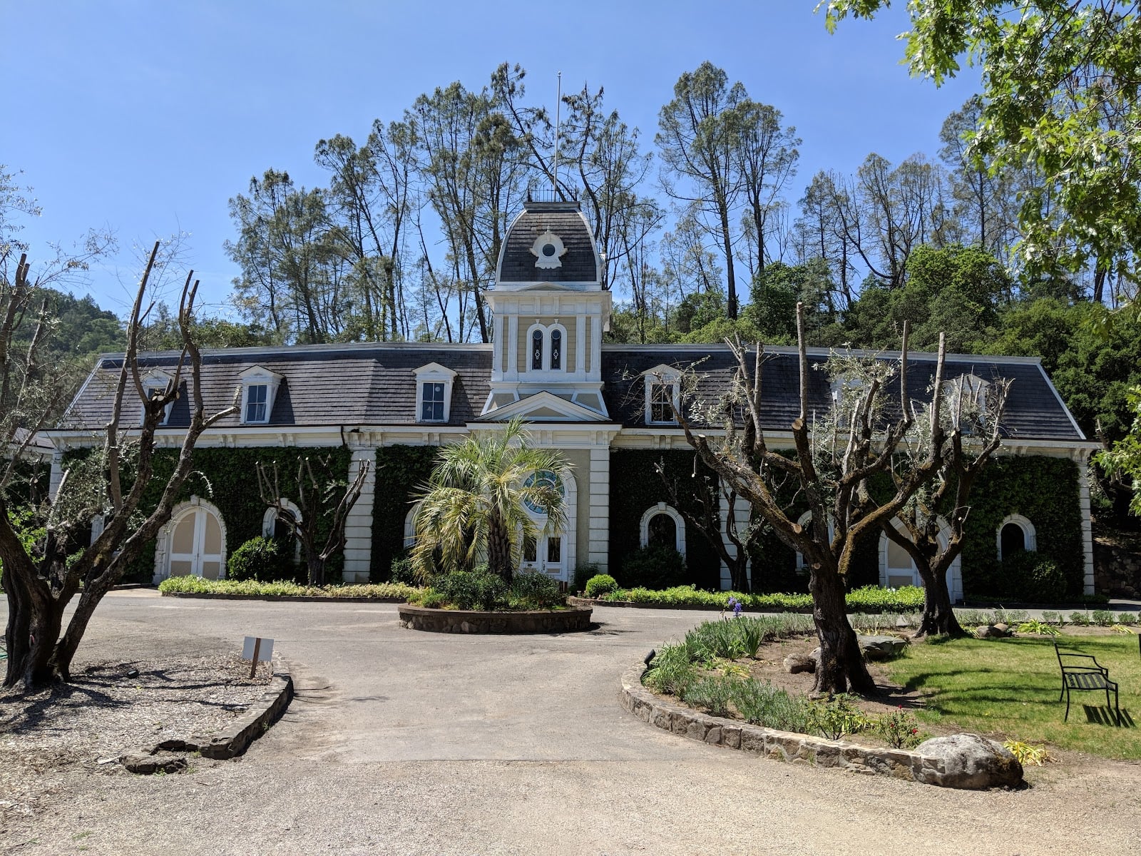 Spring Mountain Vineyard photo 2