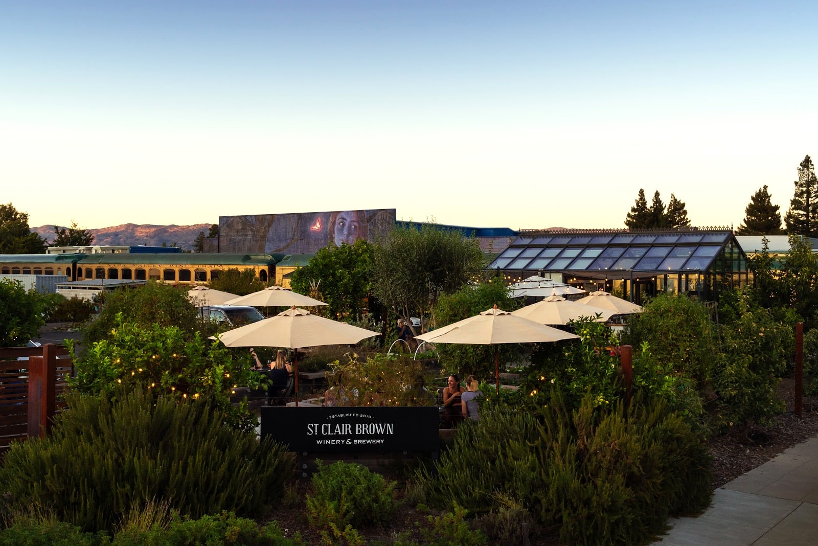 St Clair Brown Winery & Brewery photo 1