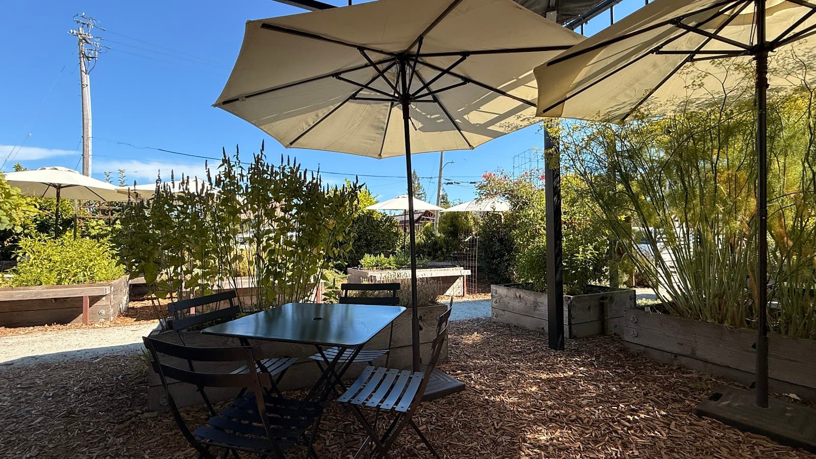 Photo of St Clair Brown Winery & Brewery