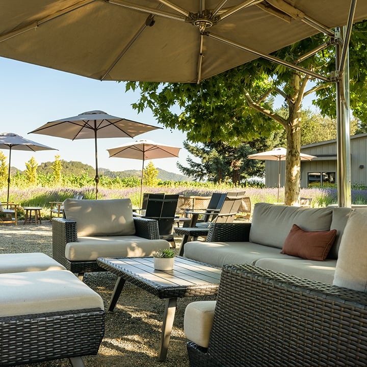 The Duckhorn Collection at Paraduxx photo 8