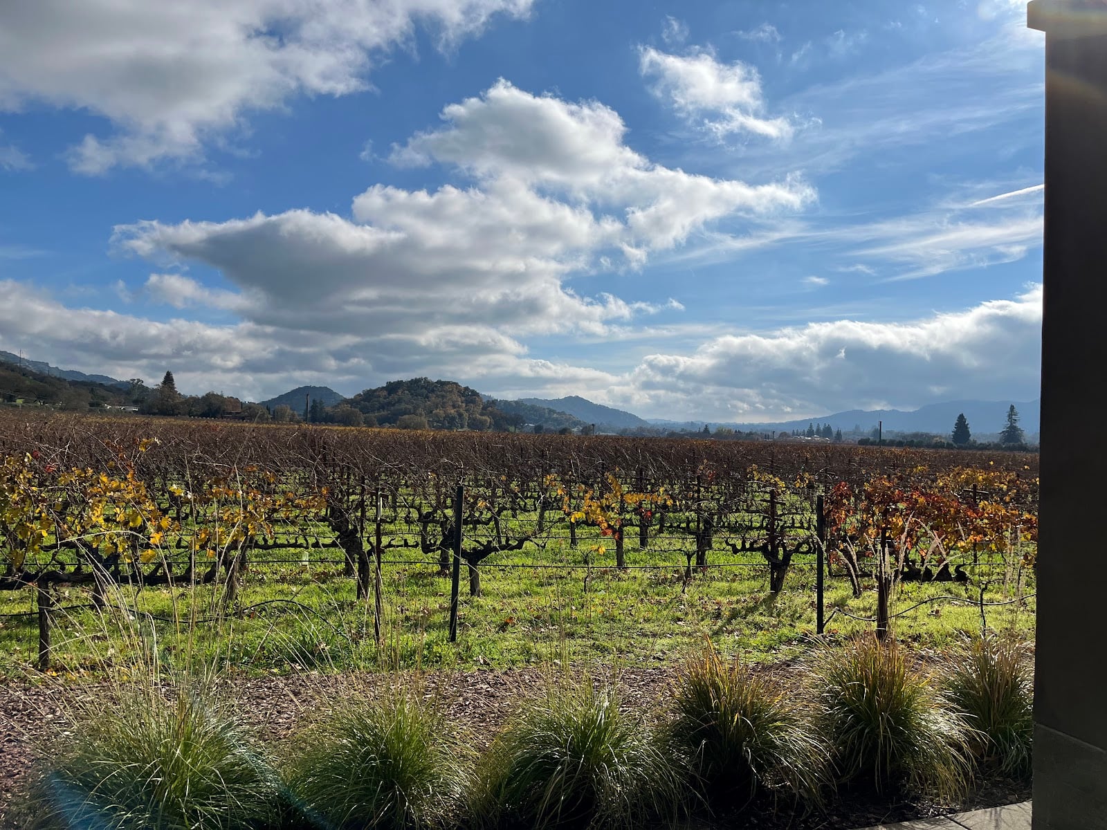 The Duckhorn Collection at Paraduxx photo 2